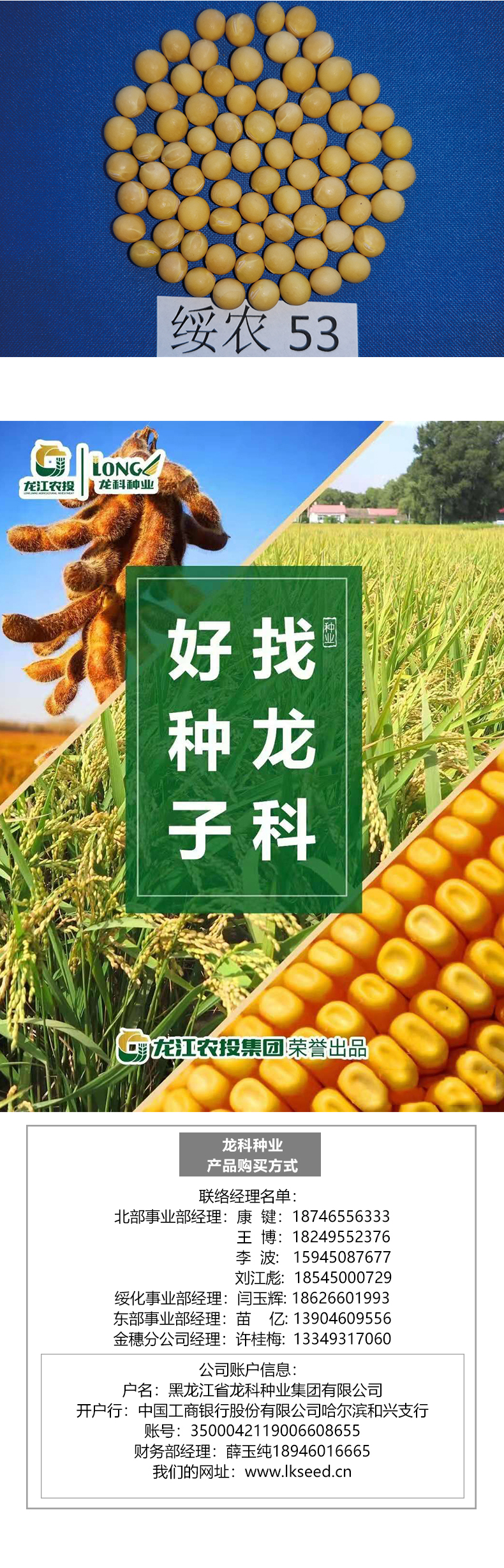 綏農53產品詳情_03.jpg