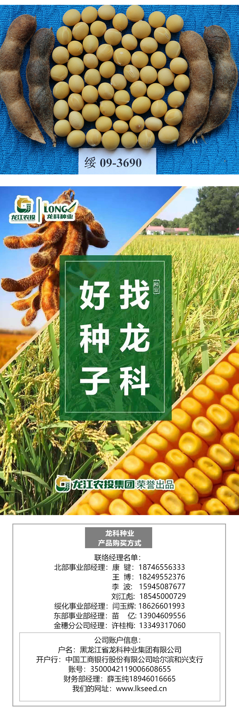 綏農42產品詳情_03.jpg